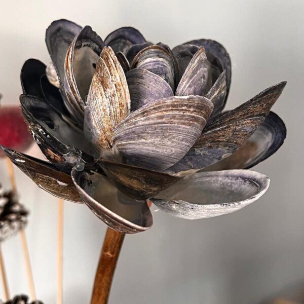 Flower made from shells.