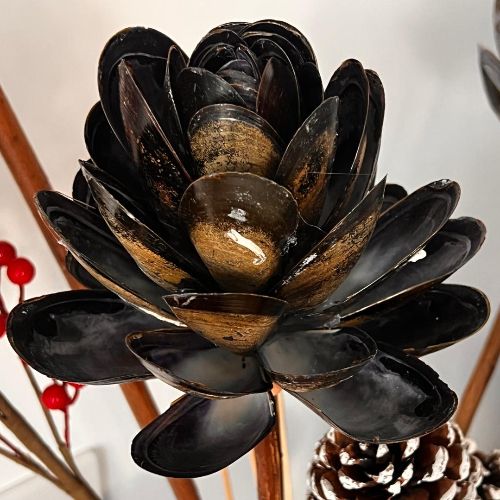 Close up of black/brown flower with cone in background.